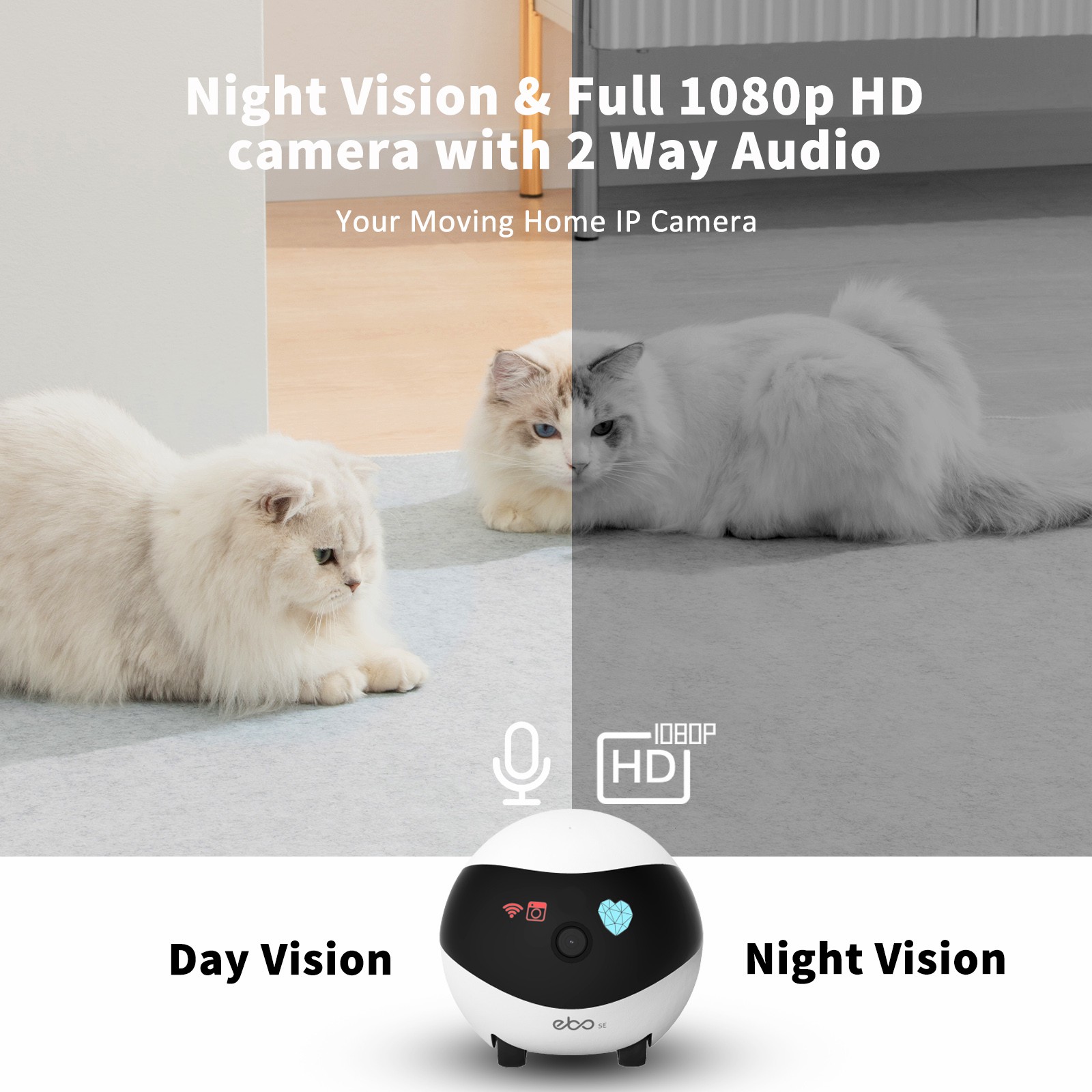 EBO SE スマートホームロボットコンパニオン セキュリテ - Home Security Robots のレビューと価格
